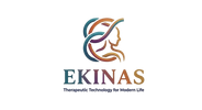 Translation missing: en.Ekinas accessibility.home
